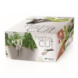 nůžky na bylinky 13cm HERBS CUT ICUT1-389U limetka plastová